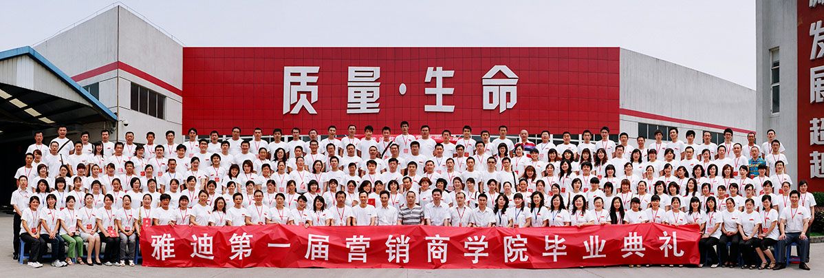 雅迪科技集团